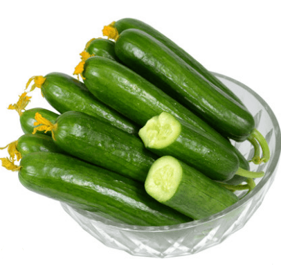 农大姐妹新鲜甜嫩脆黄瓜2000g