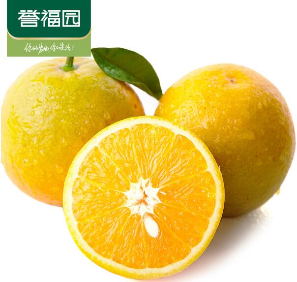 誉福园秭归夏橙脐橙 单果果径80-90mm